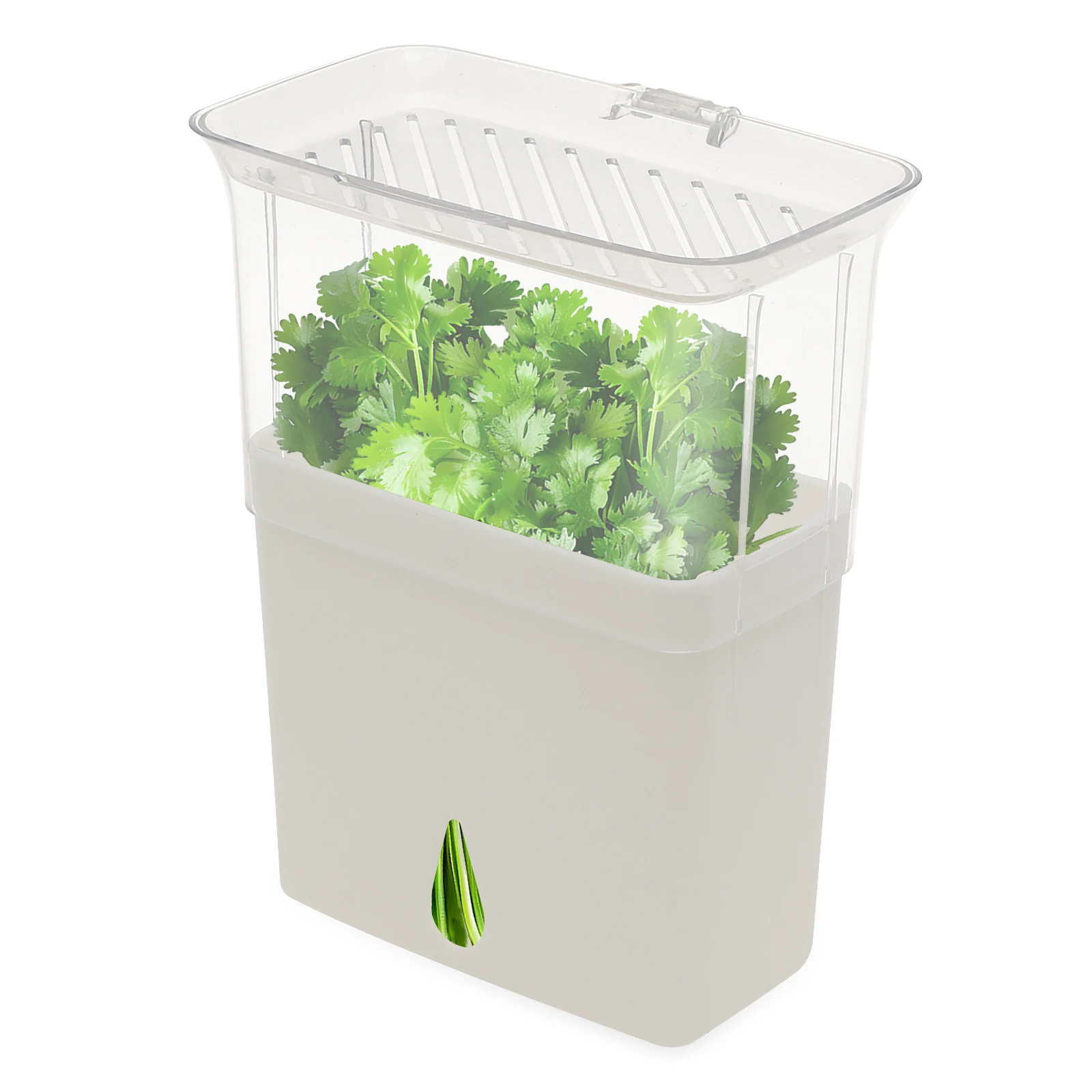 Herb Keeper Bottle - Clear Herb Saver Storage Container Airtight