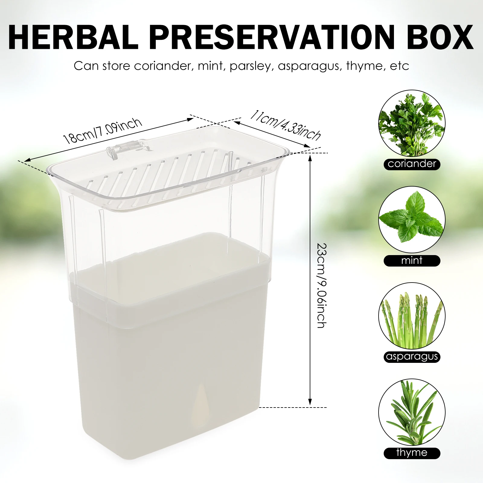 Clear Herb Saver Storage Conta - Herb Keeper Bottle 评论和价格