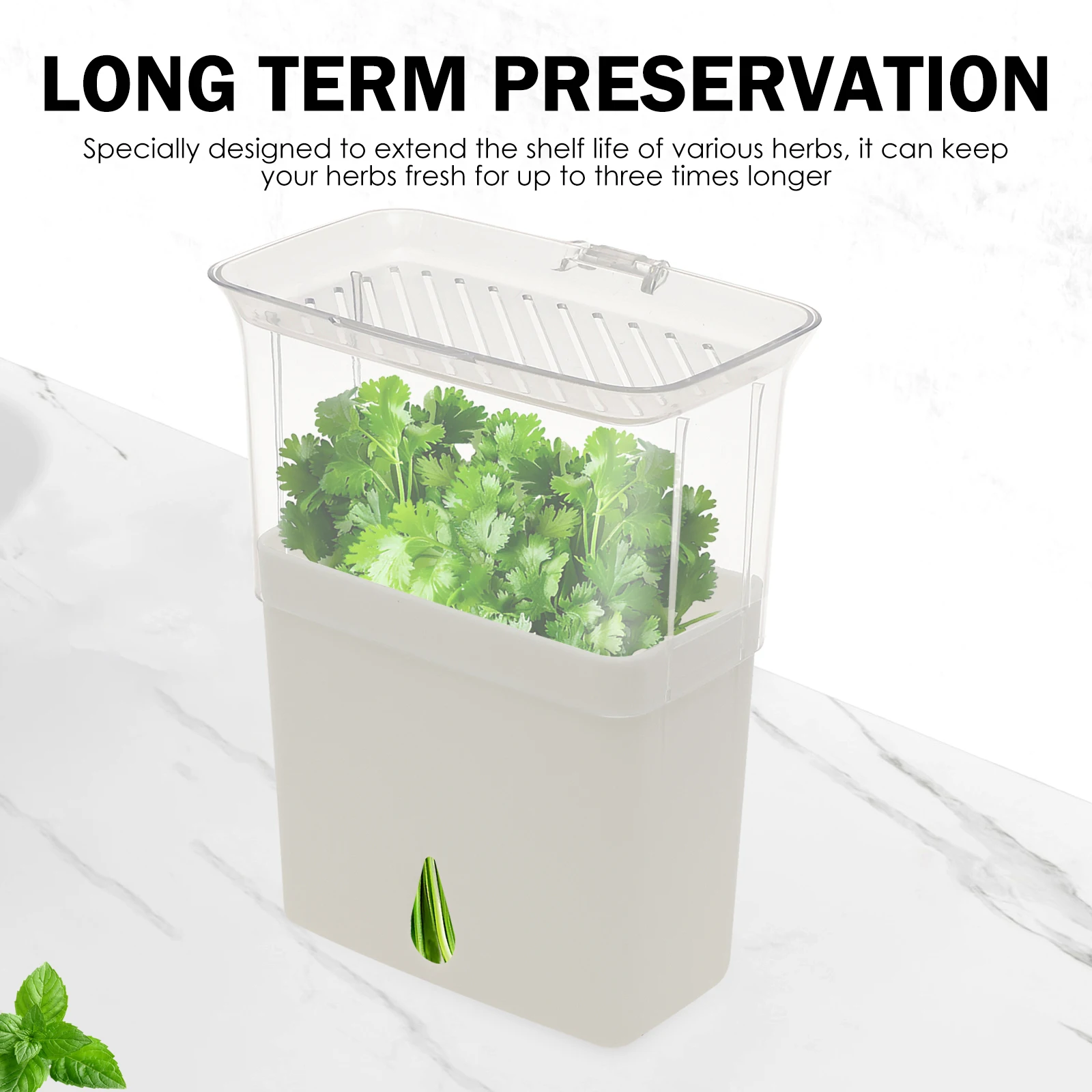 Clear Herb Saver Storage Conta - Herb Keeper Bottle 评论和价格