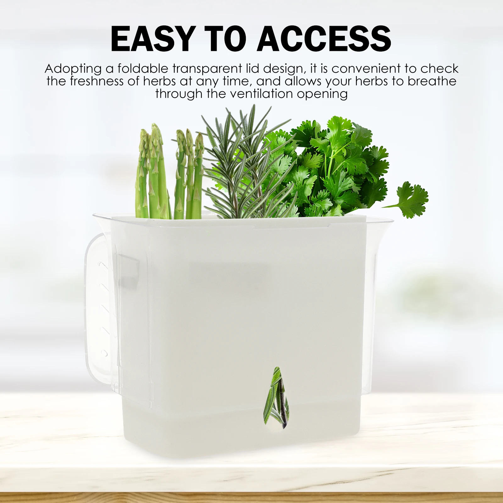 Clear Herb Saver Storage Conta - Herb Keeper Bottle 评论和价格