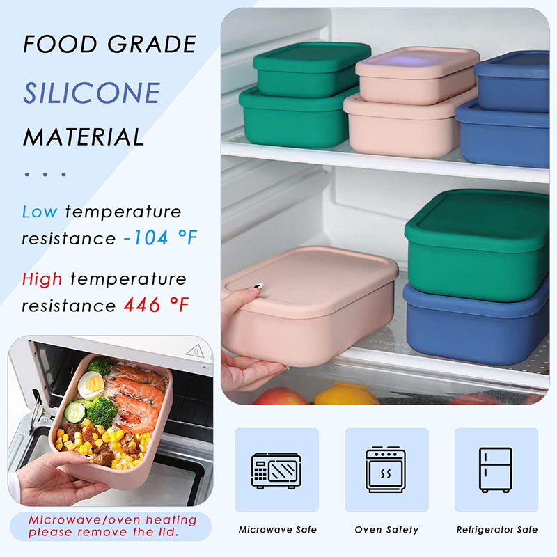Leak-Resistant Bento Lunch Box - Meal Prep Lunch Boxes 评论和价格